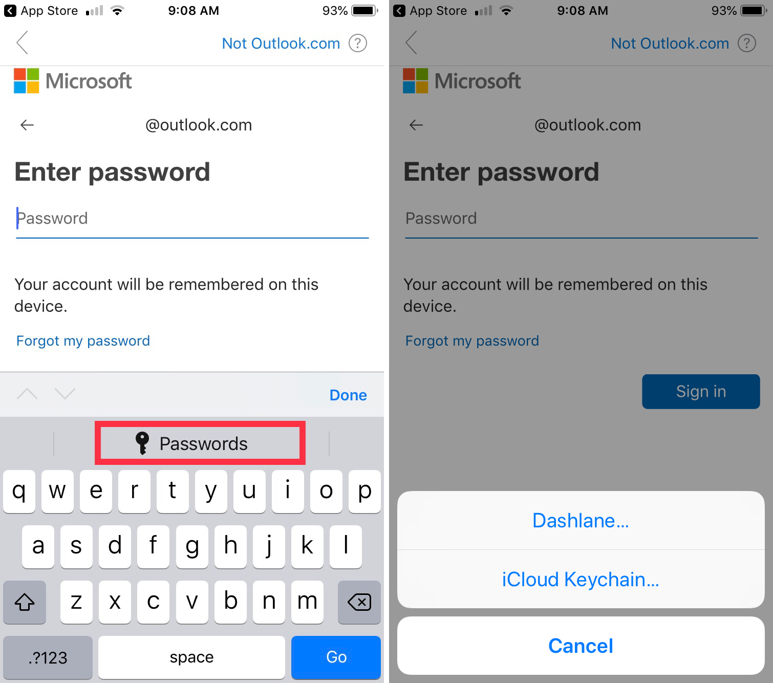 AutoFill Passwords Options iPhone