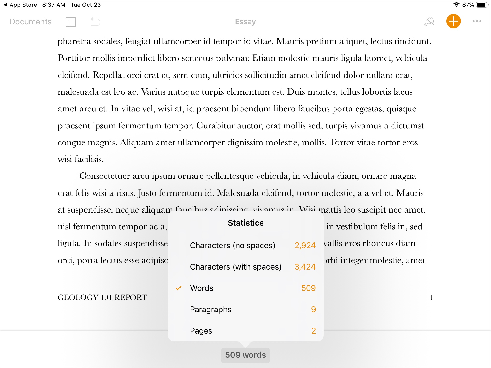 word count in pages on iPad