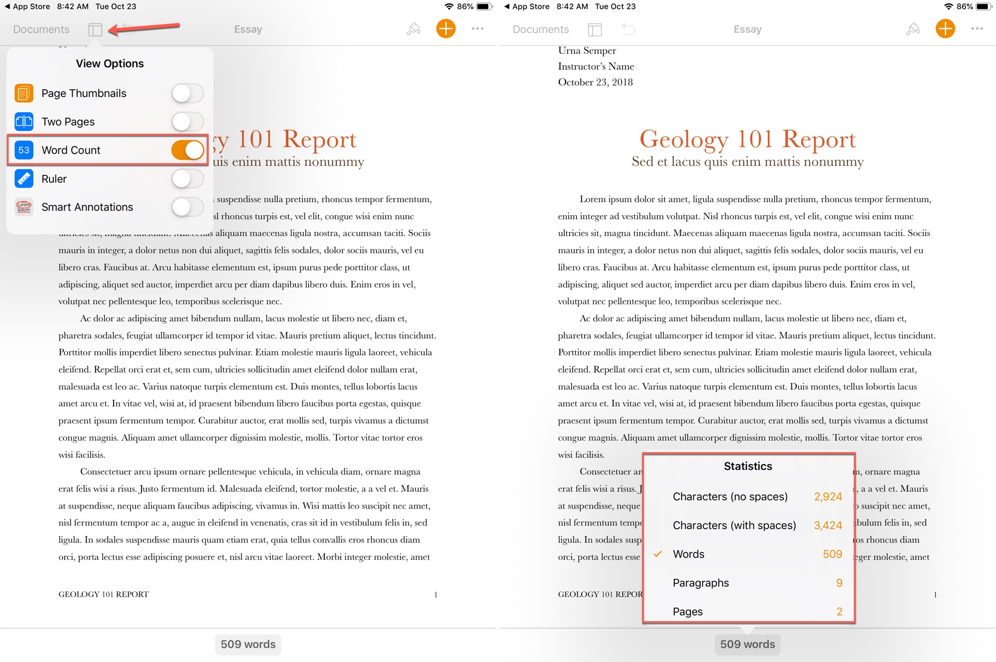 How to find Word Count in Pages on iPad