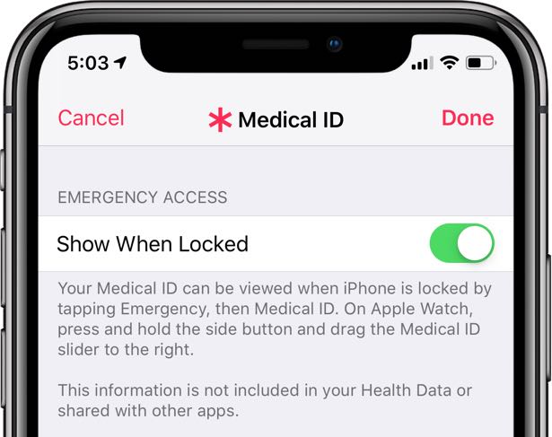 Apple Watch fall detection - Medical ID in the Health app on iPhone with the option Show When Locked selected
