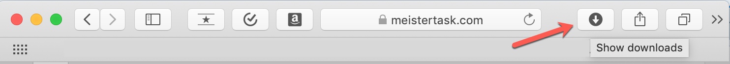 Show Downloads Button Safari on Mac