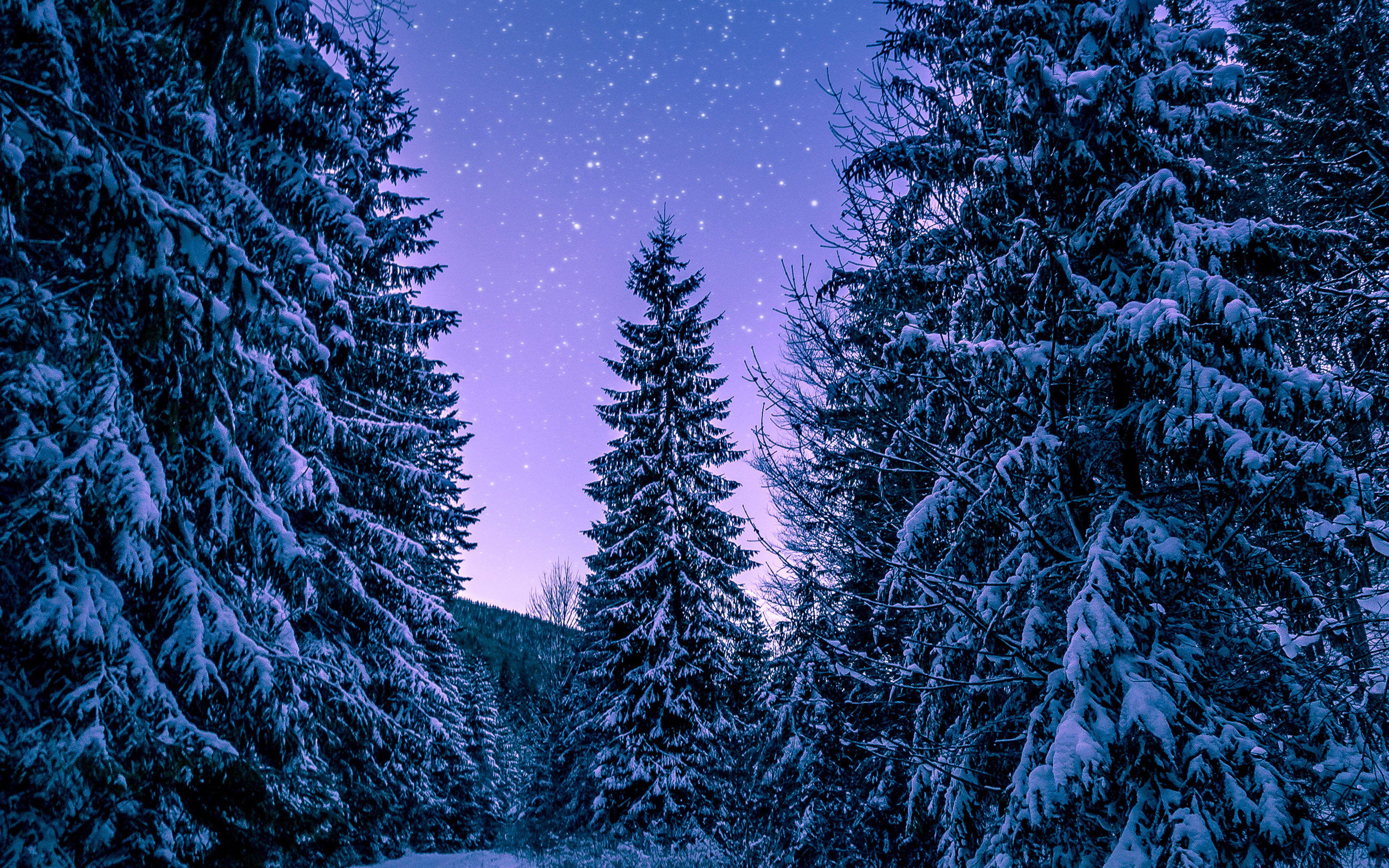 snow-winter-wood-tree-road-night-nature-imac-27