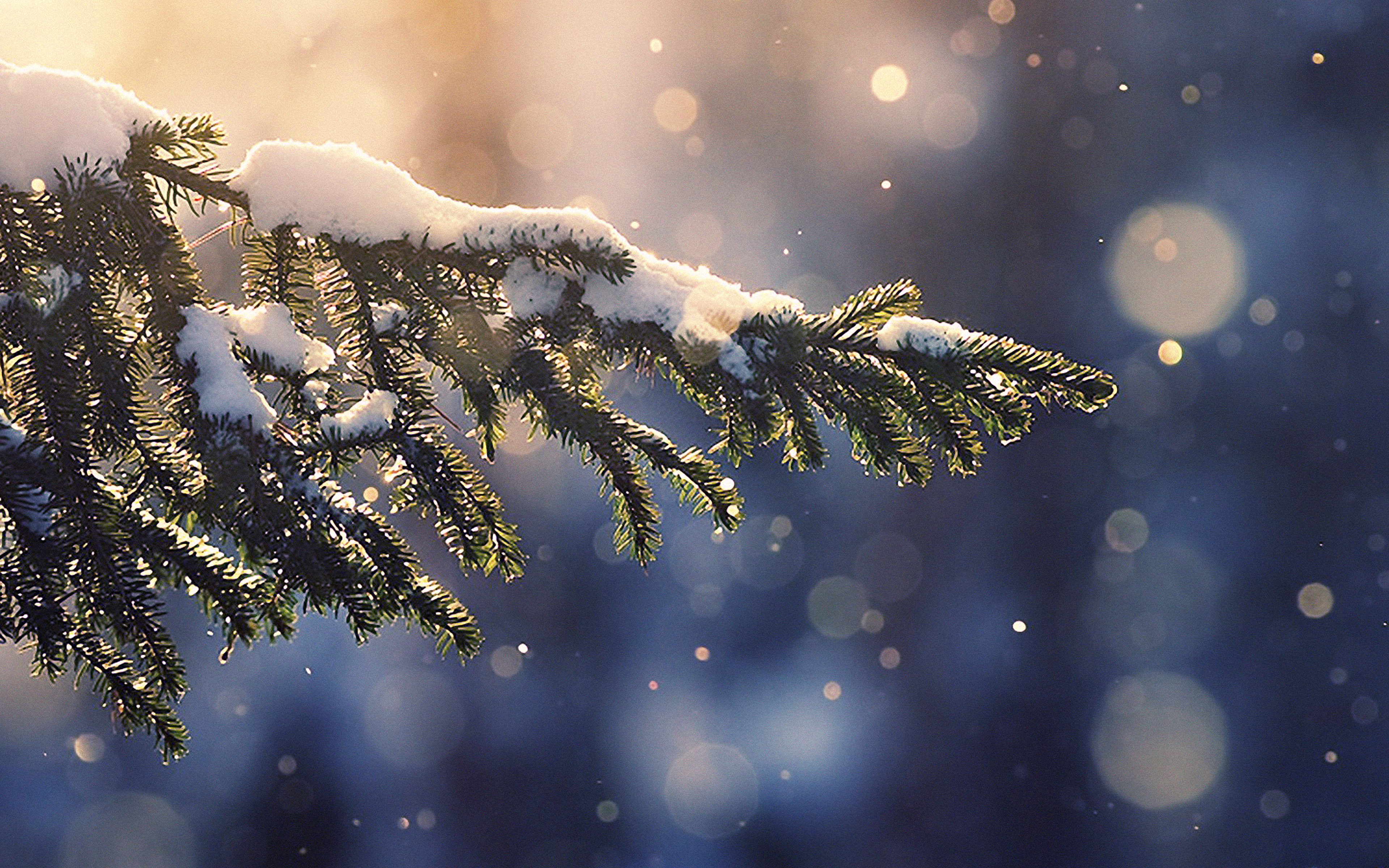 snowing-tree-blue-christmas-winter-nature-mountain-imac-27