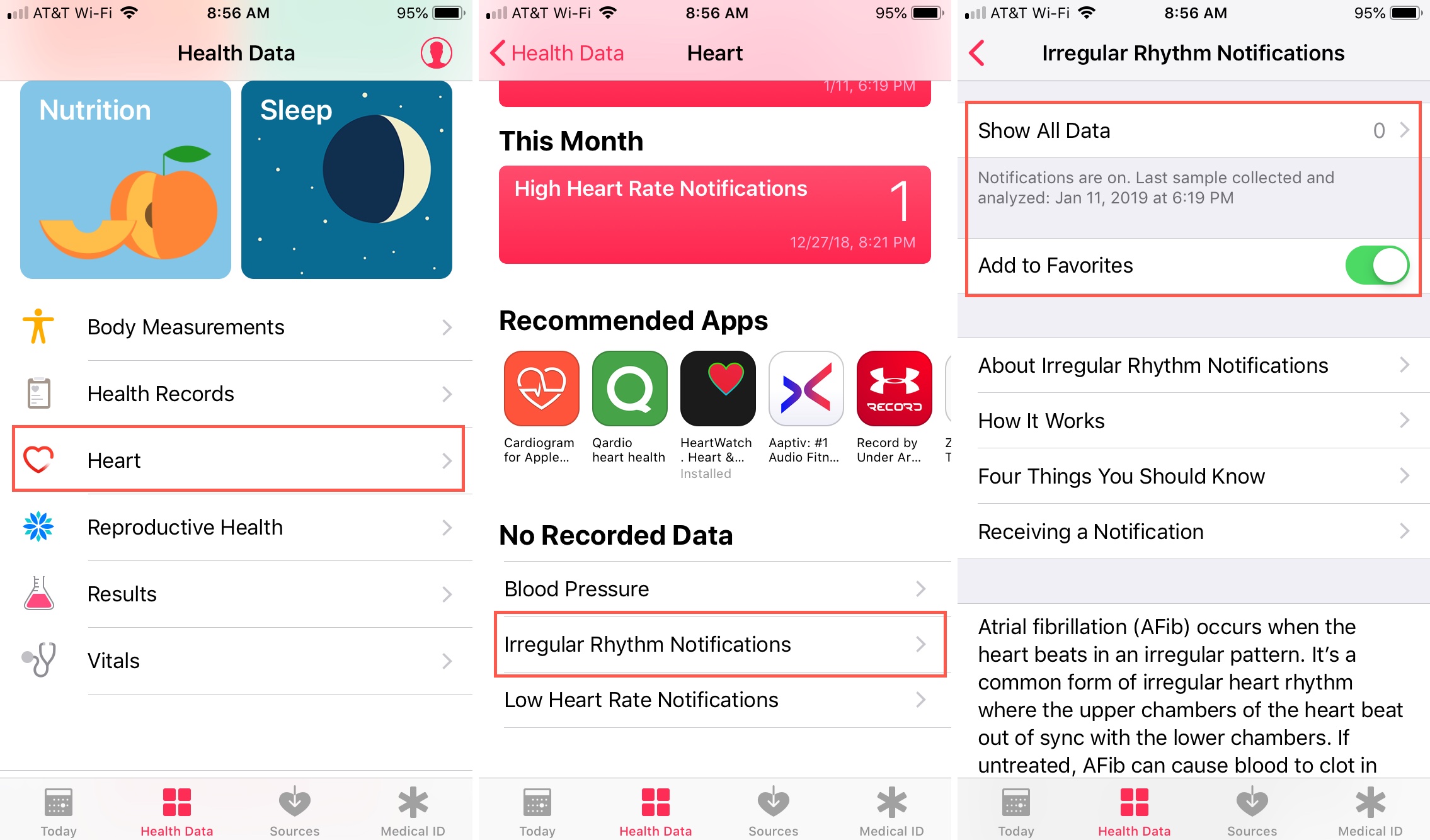 Heath Data Heart Screens for Irregular Rhythm Notifications iPhone