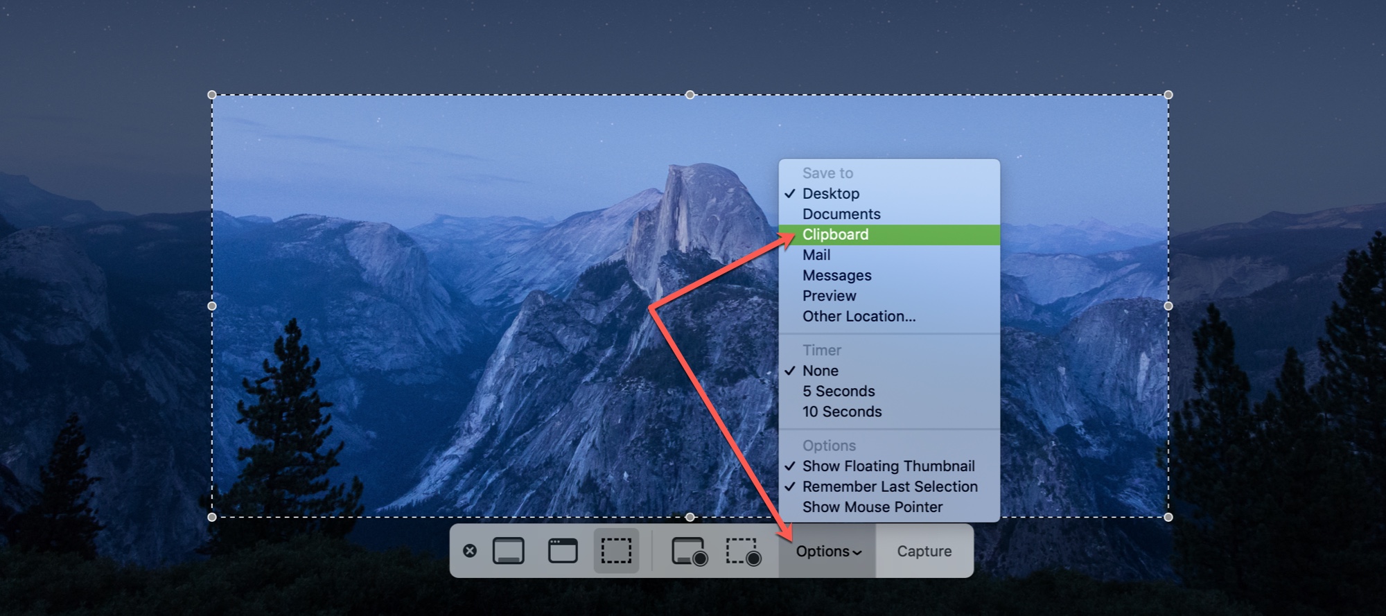 Screen Utility Options Save to Clipboard Mac