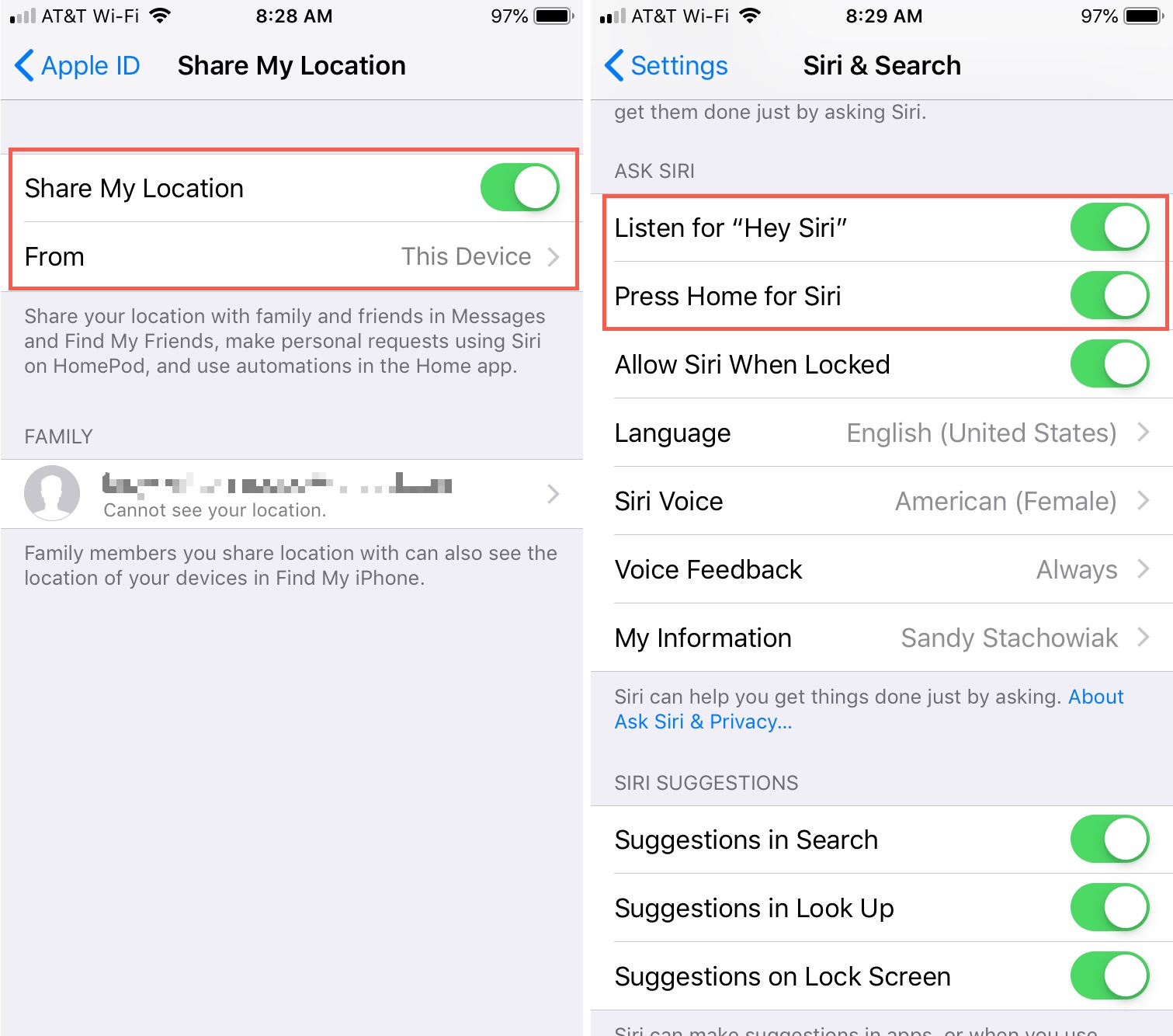 Enable Location and Siri on iPhone