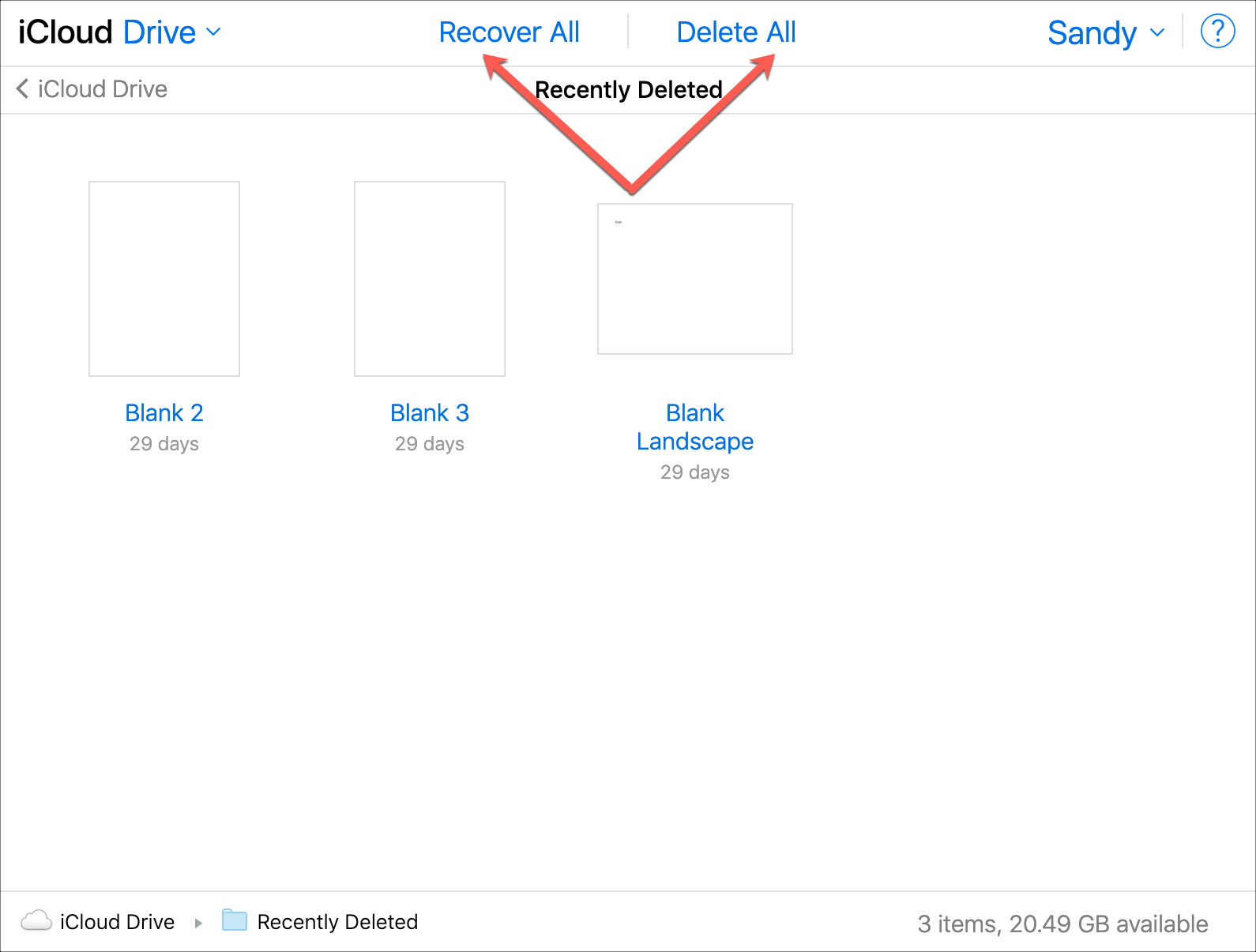 Recently Deleted Items Recover Delete on iCloud Drive