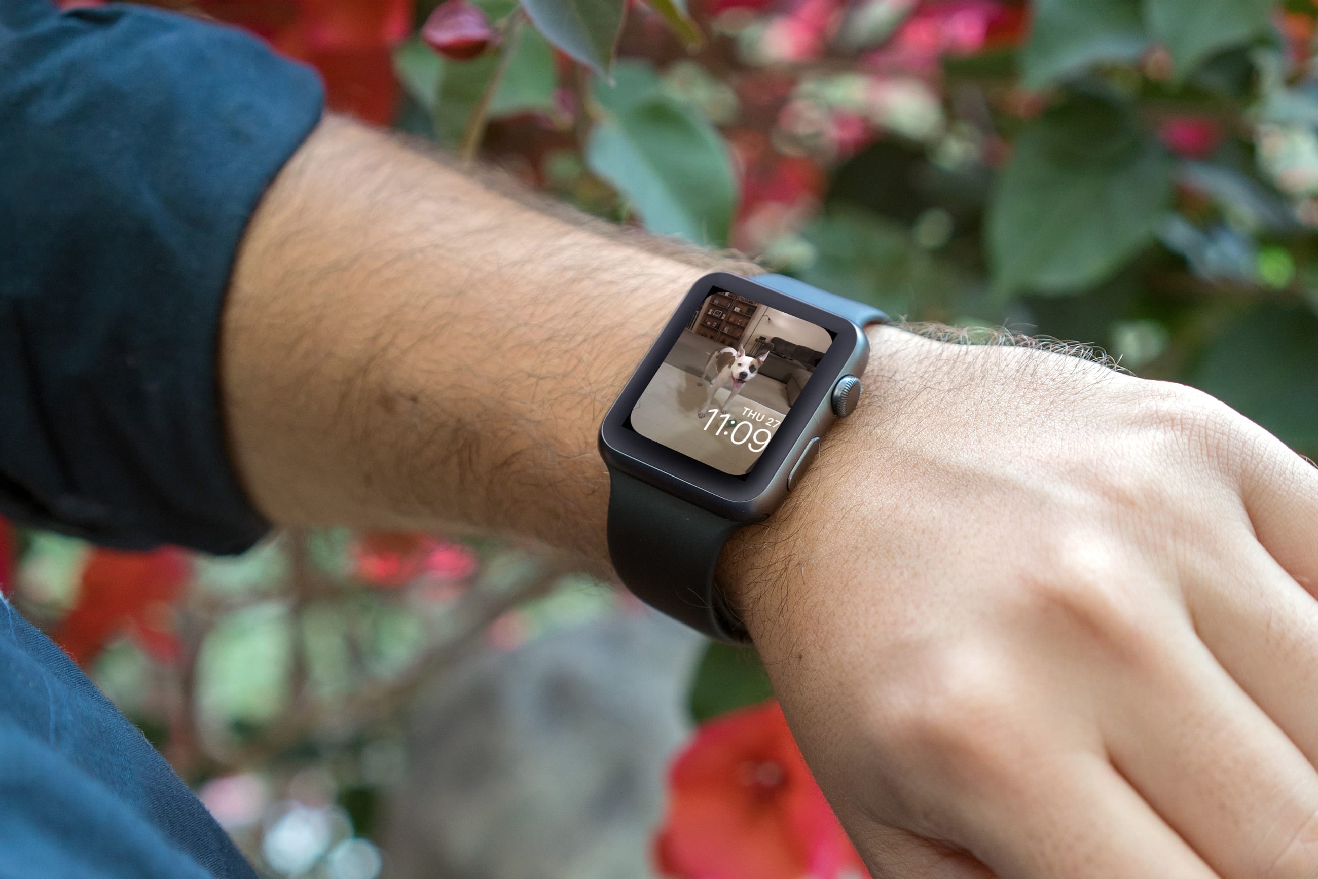 How to use your own photo as your Apple Watch face