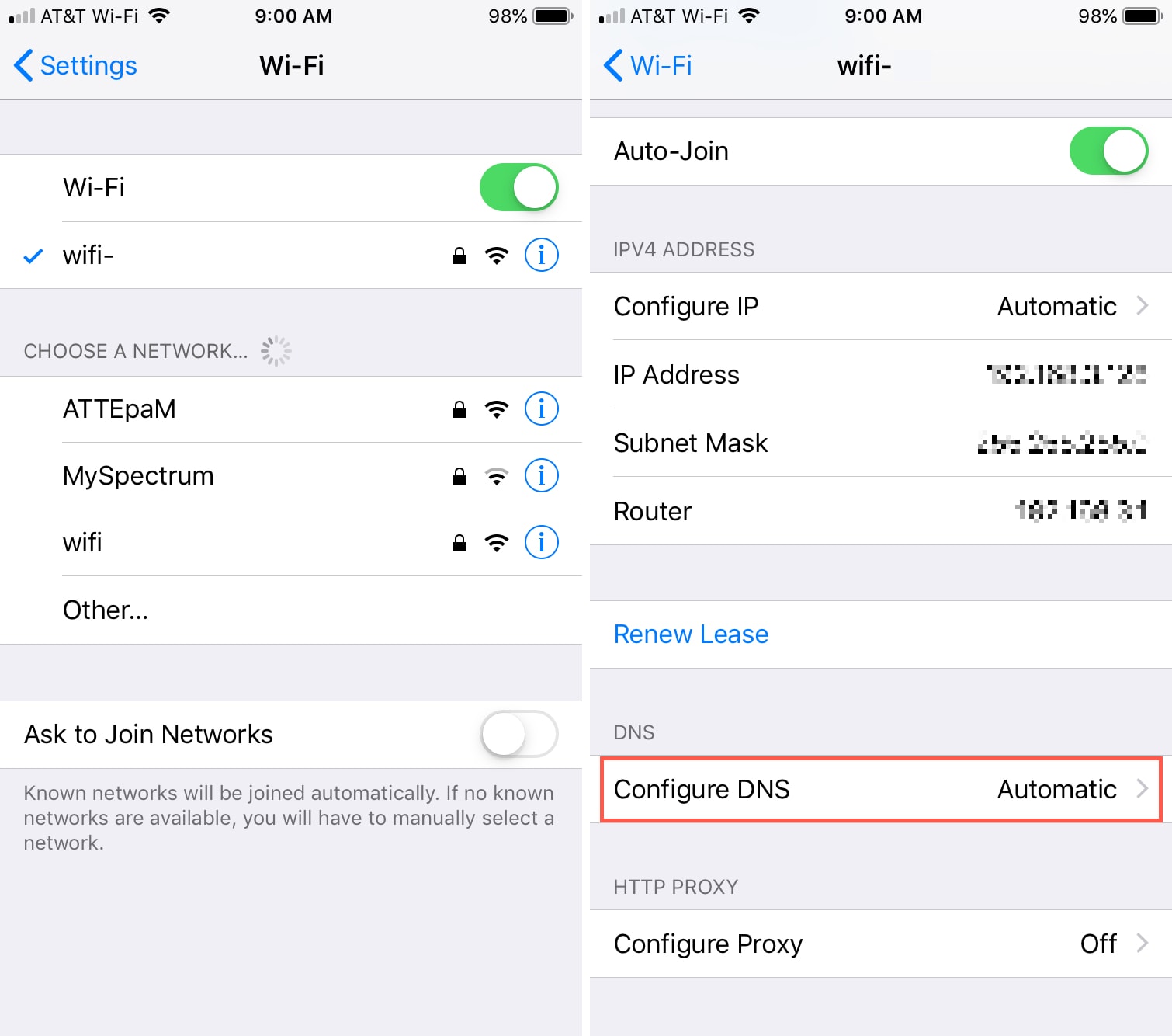 Configure DNS Setting on iPhone