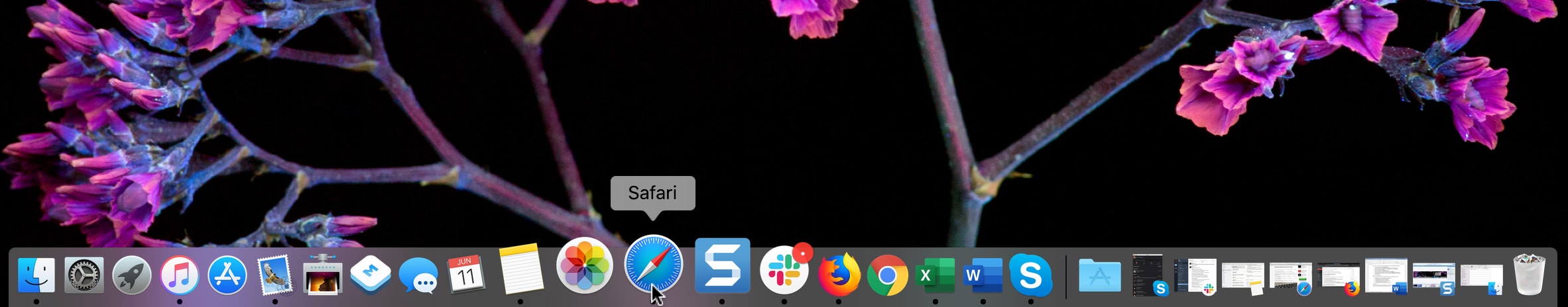 Safari In Dock Magnified Mac
