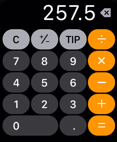 Apple adds the Calculator app to watchOS 6