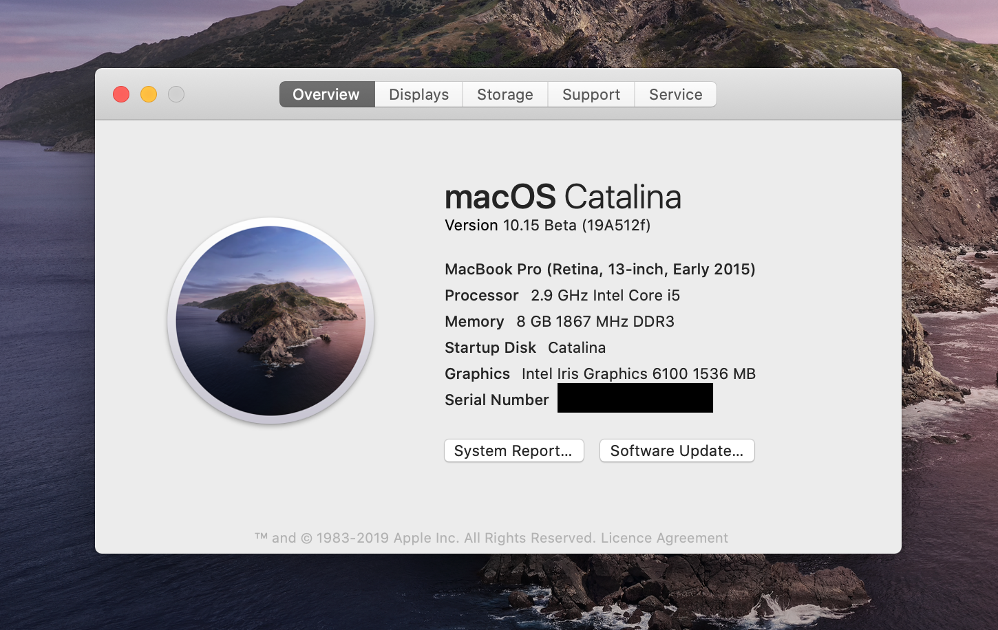 Mac Os Catalina Download Usb