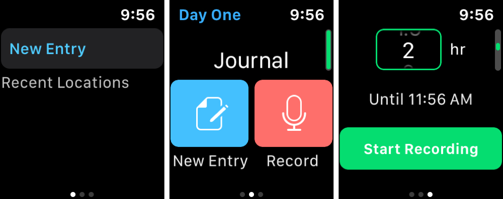 Day One Journal Apple Watch