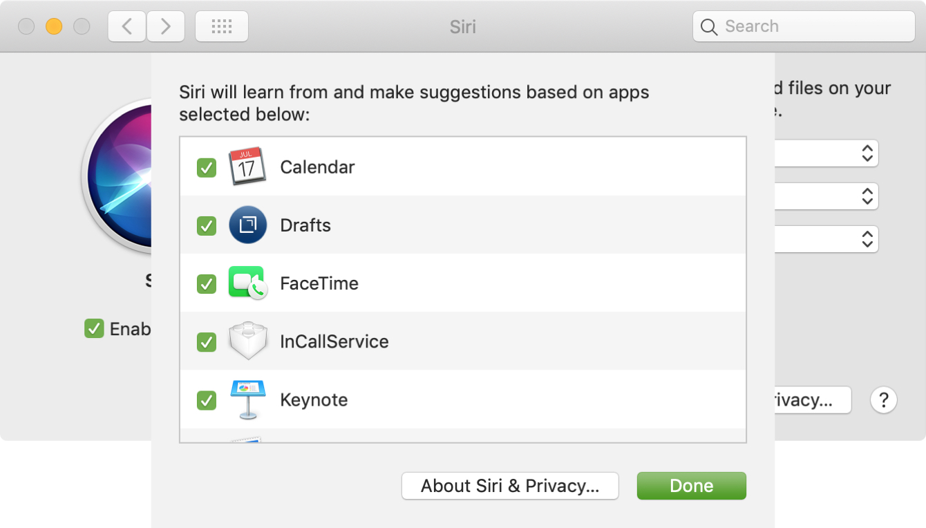 Siri Preferences Suggestions Mac