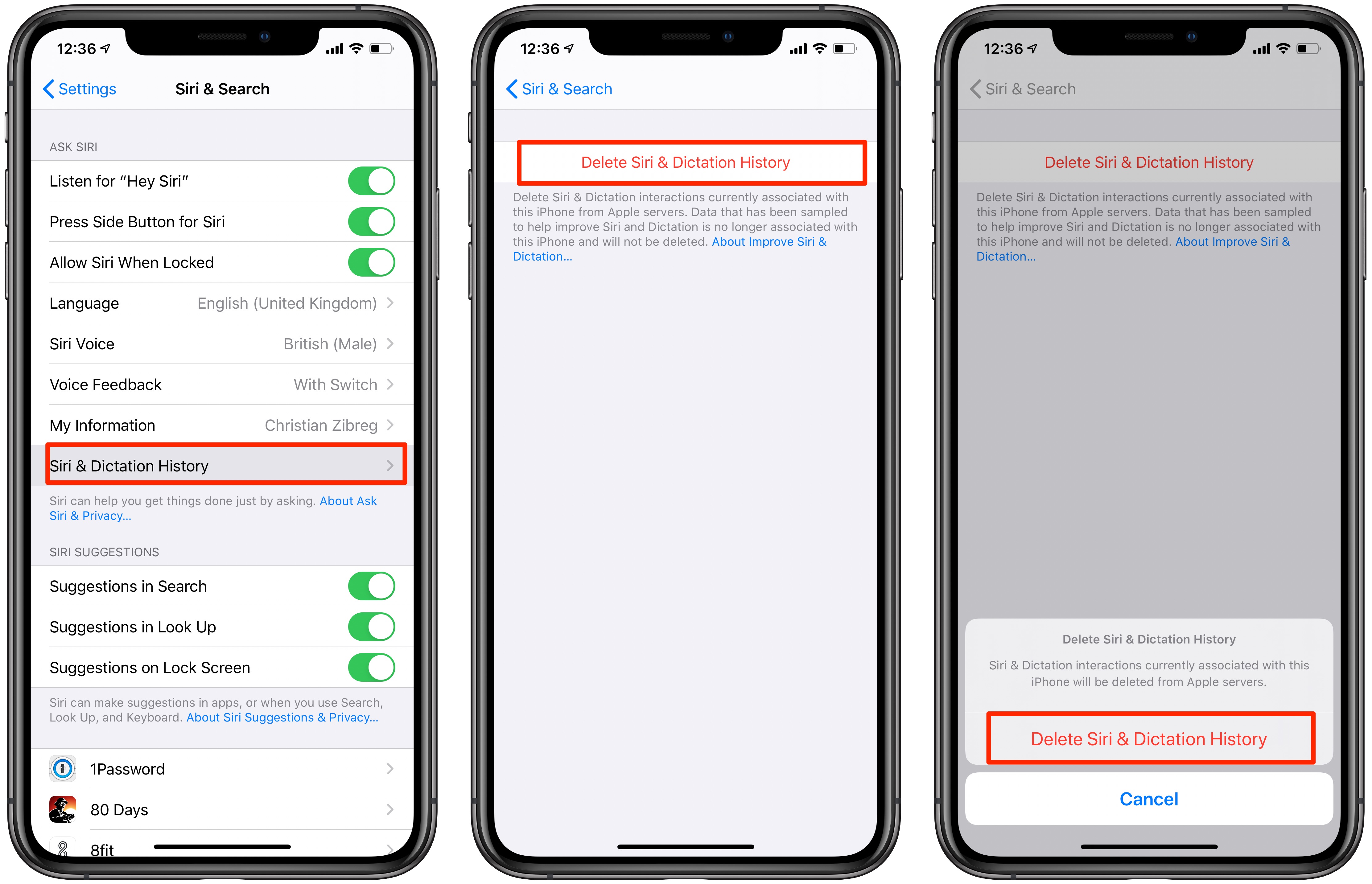 iOS 13.2 features tutorial: deleting Siri and Dictation history
