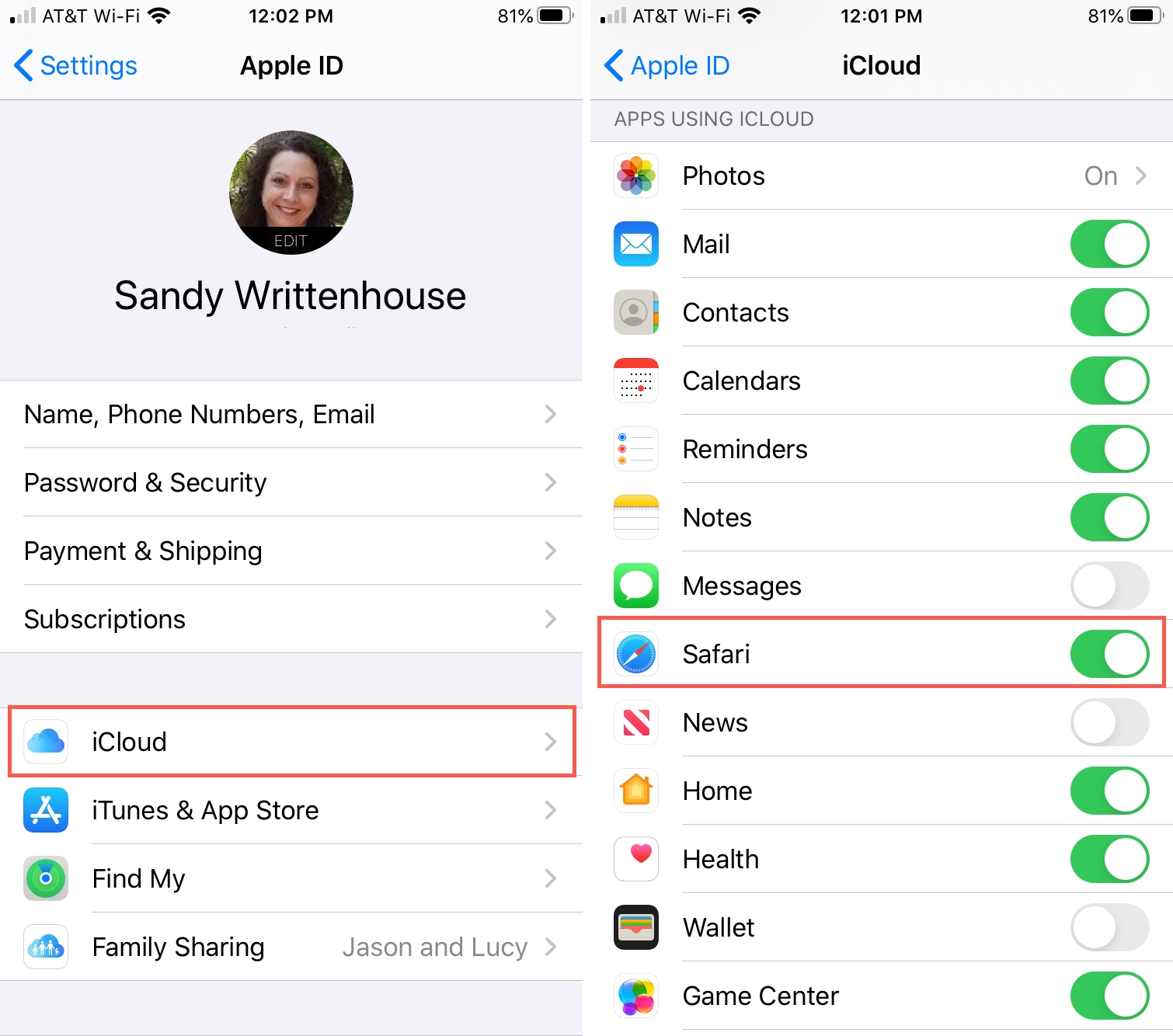 Settings Apple ID iCloud Safari iPhone