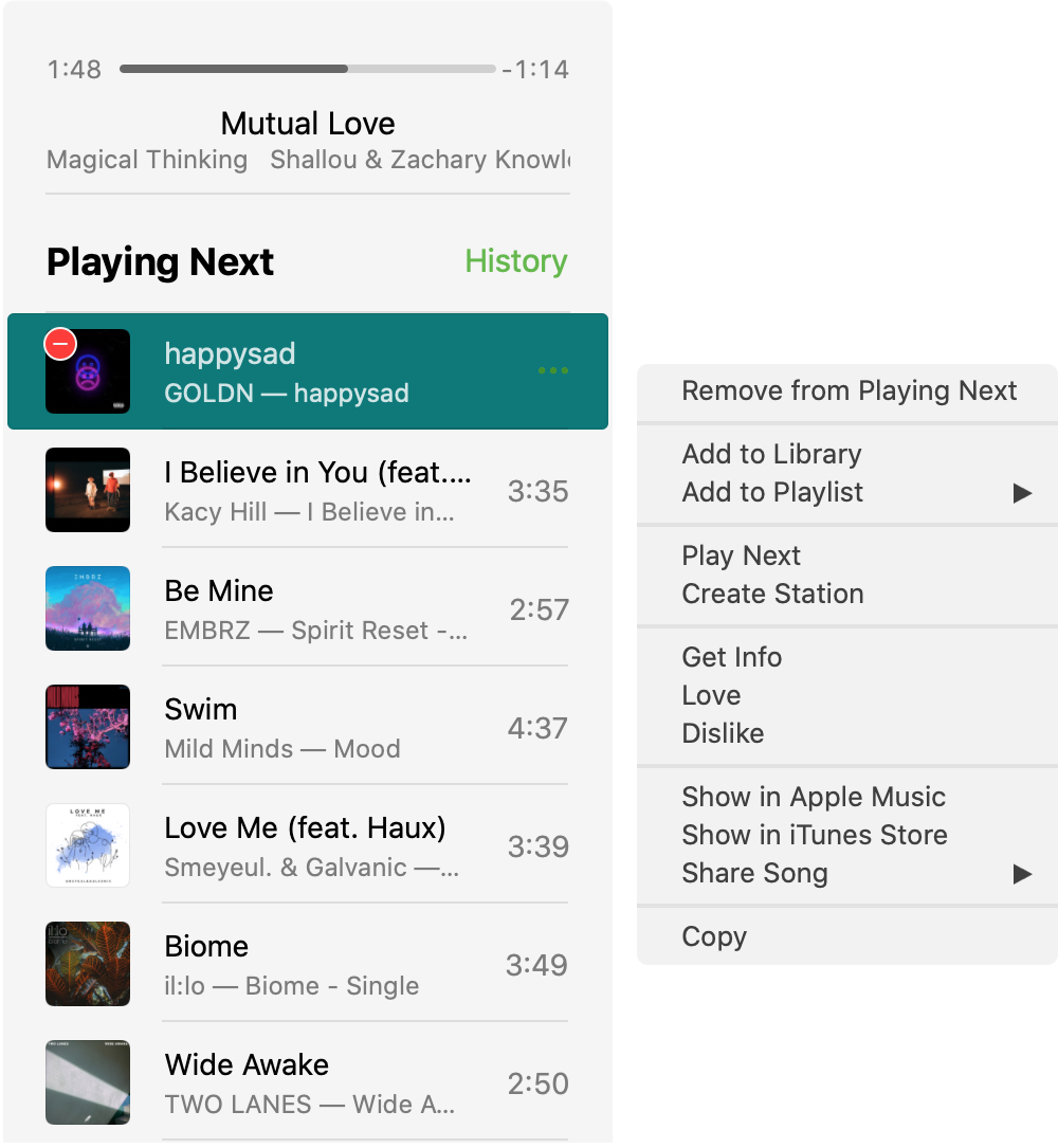 Music MiniPlayer Playing Next Song Actions