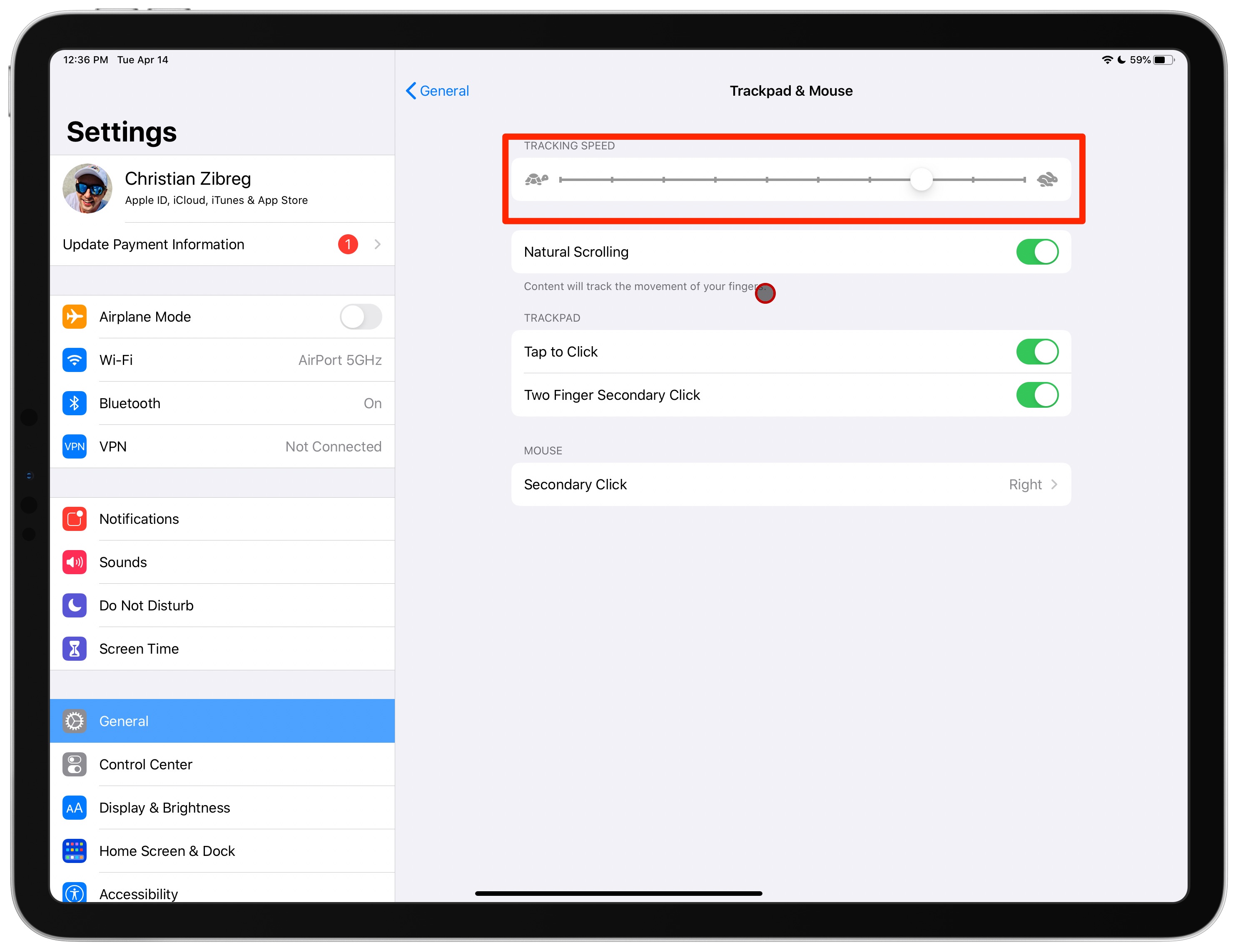 iPad tracking speed trackpad mouse settings