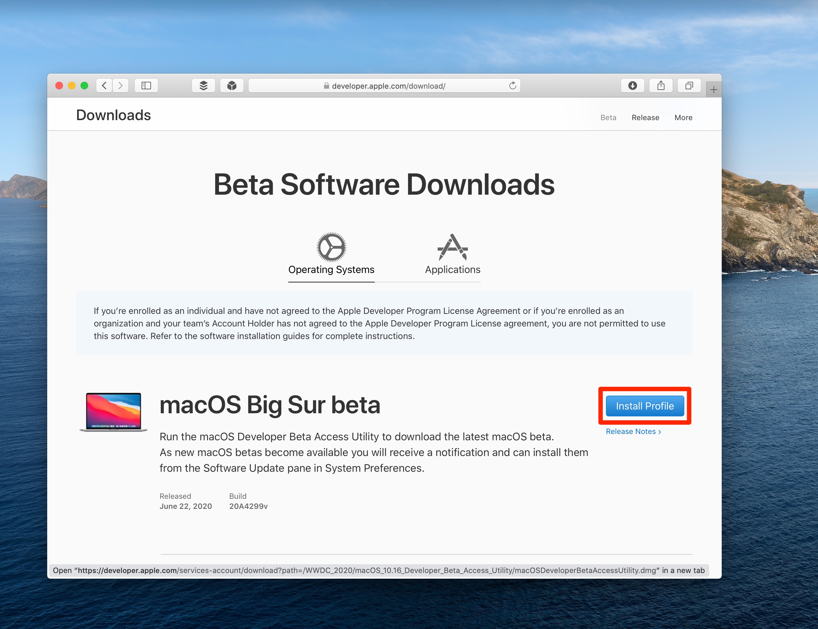 Apple Developer portal - MacOS Big Sur beta download
