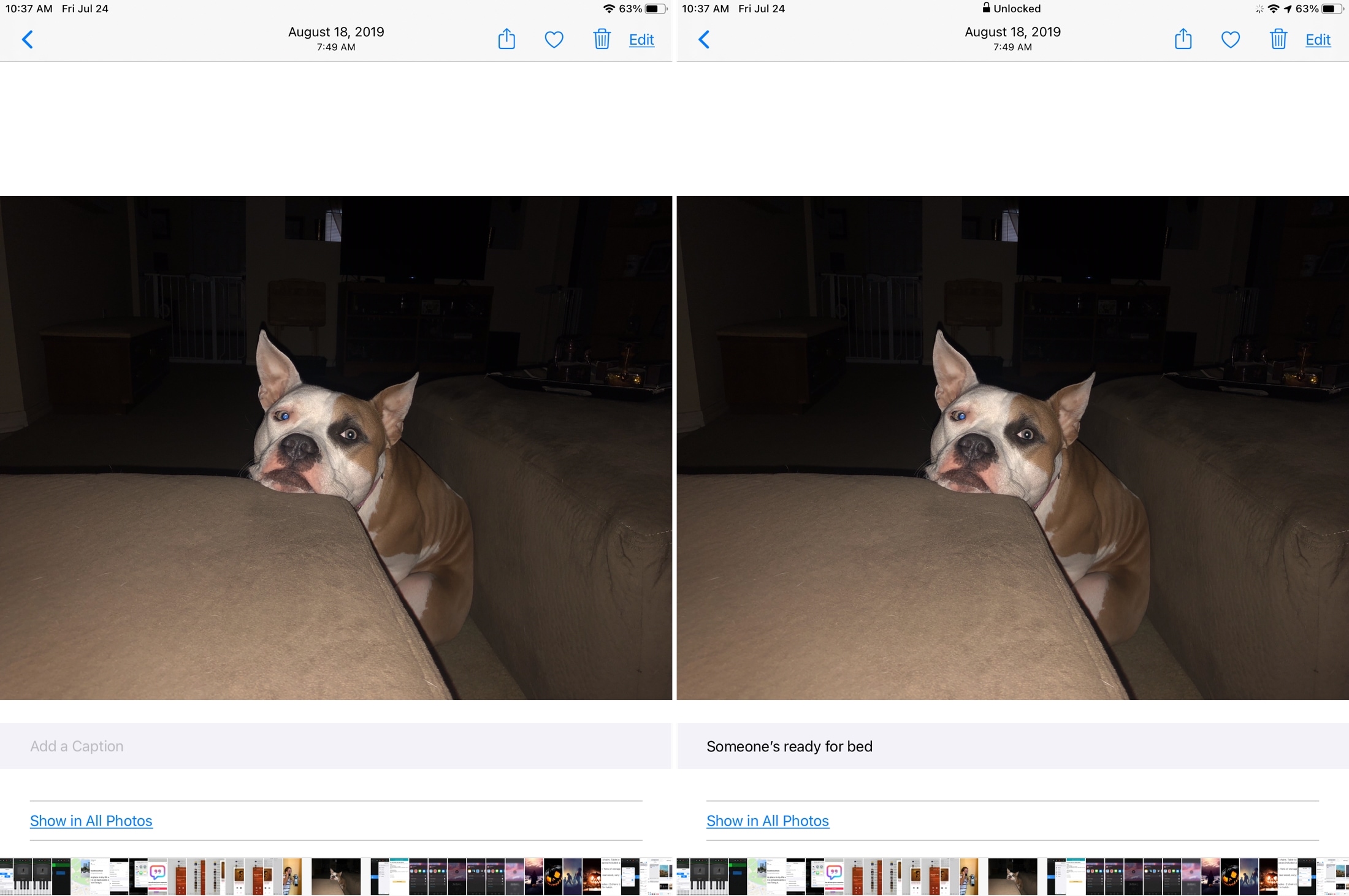Add Caption in Photos on iPad