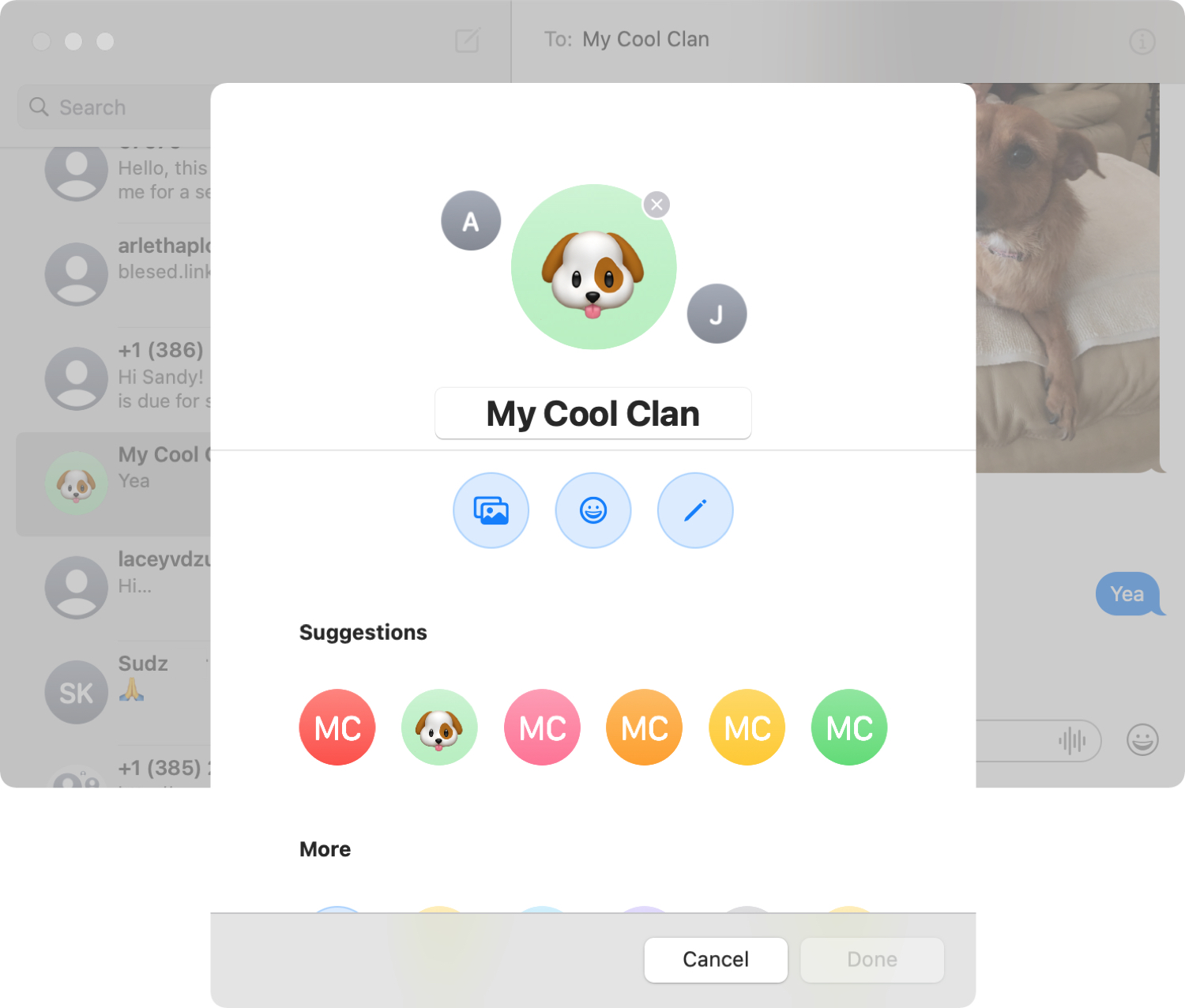 Set Group Photo or Emoji in Messages on Mac