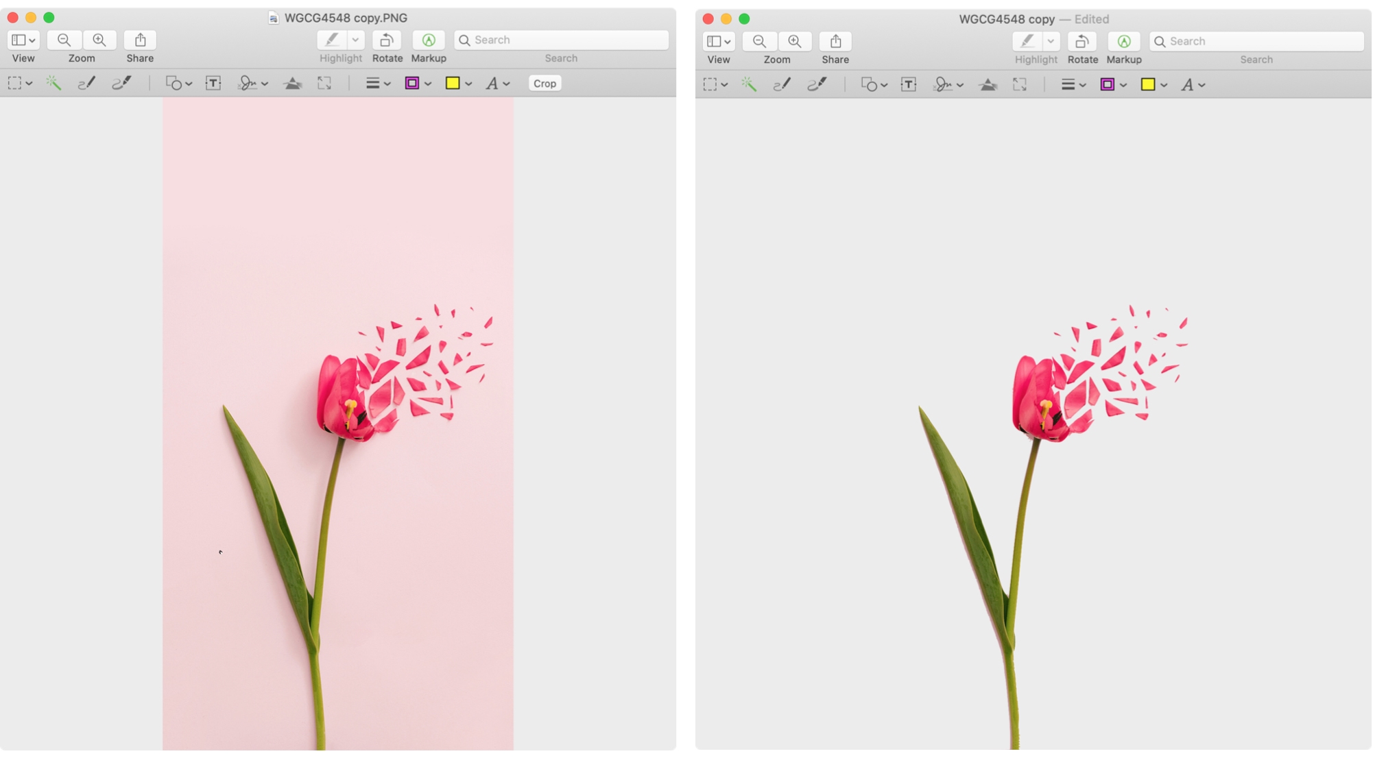 3 free ways to remove background of a photo on Mac