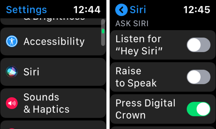 Siri Settings on Apple Watch