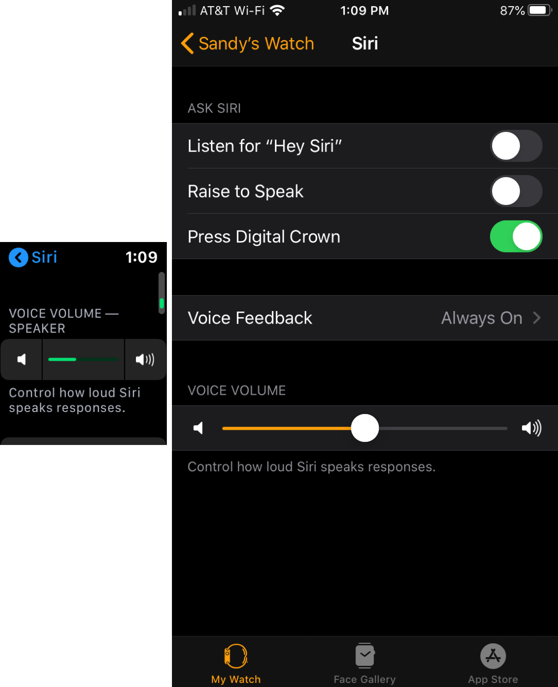 Siri Volume Speaker Apple Watch