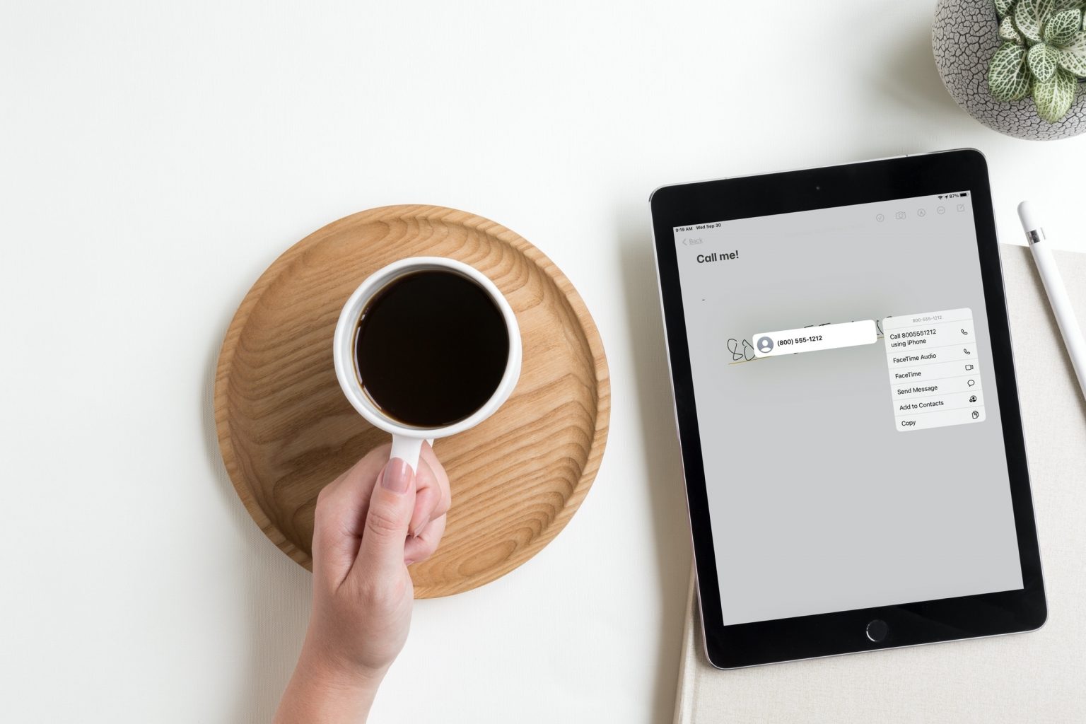 How to use Data Detectors and Shape Recognition on iPad