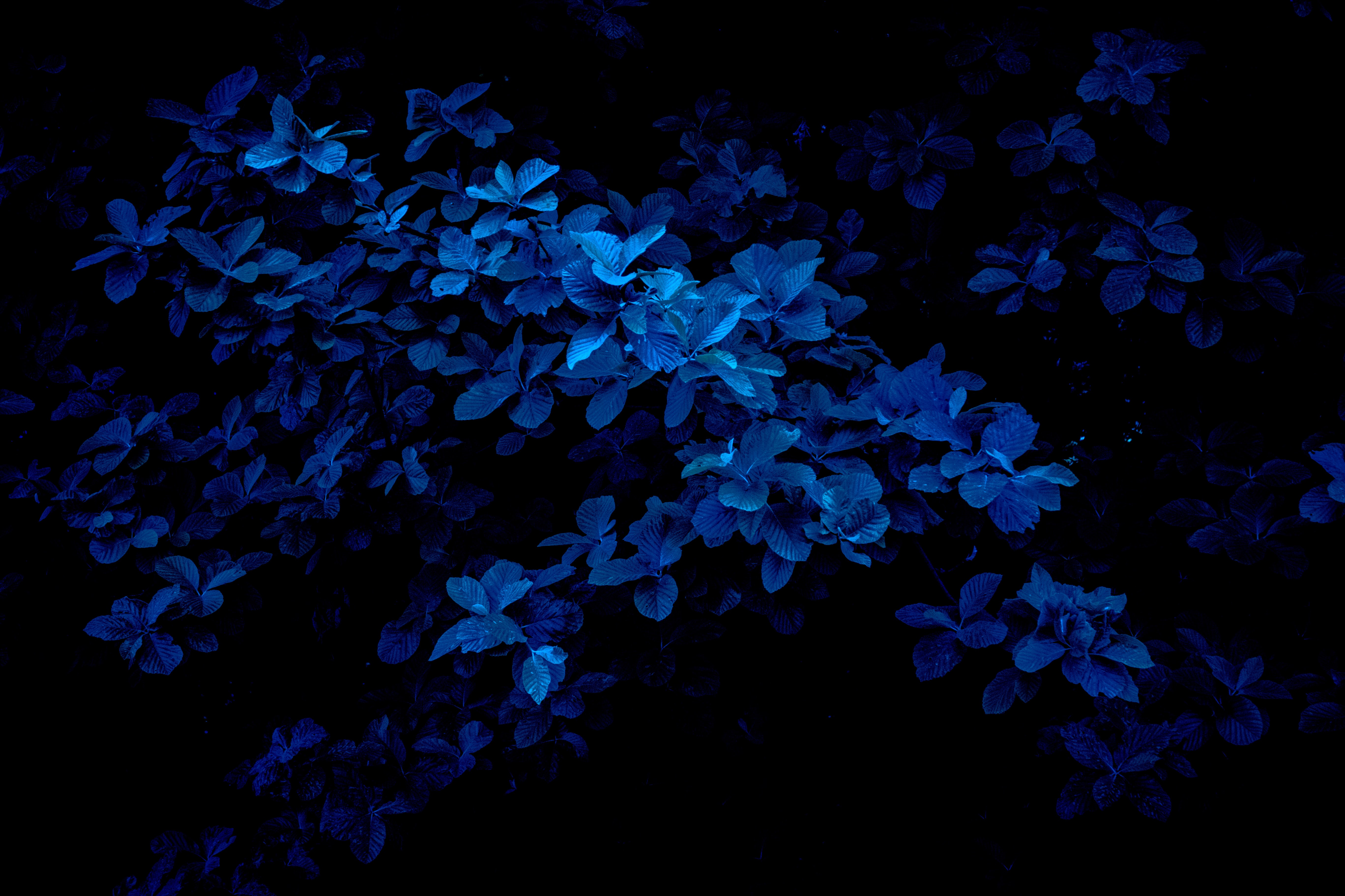 blue photography iPhone 12 wallpaper fabrizio-conti