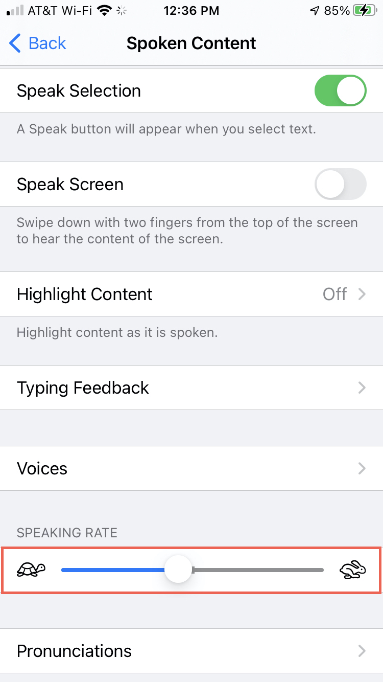 Accessibility Speaking Rate on iPhone