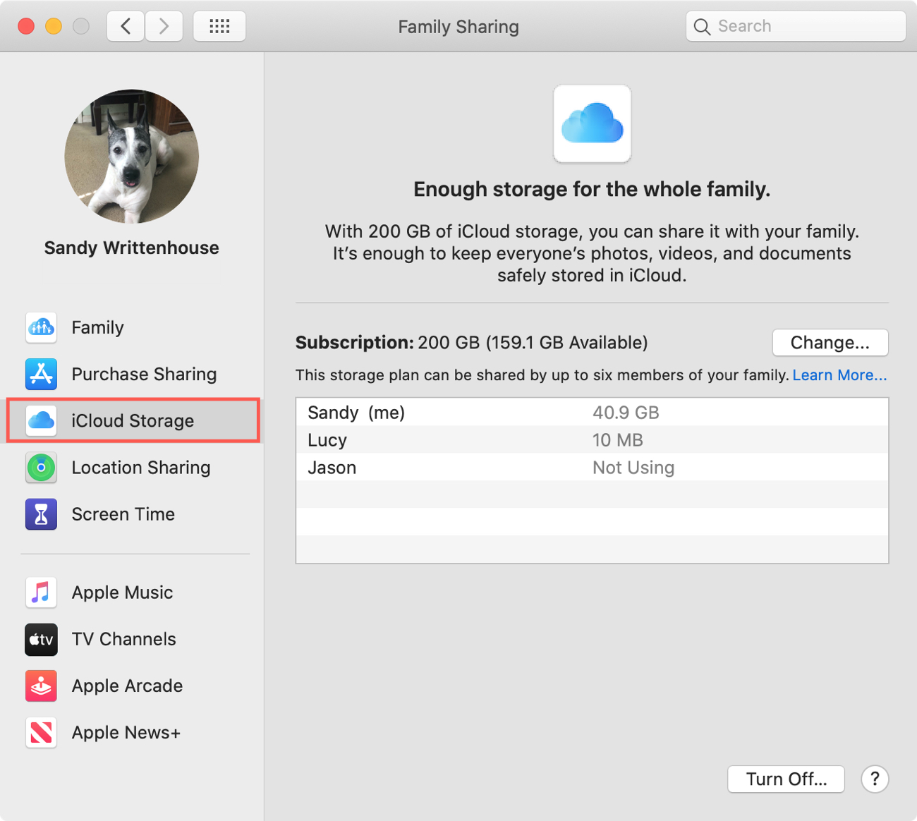 Family iCloud Storage Usage on Mac