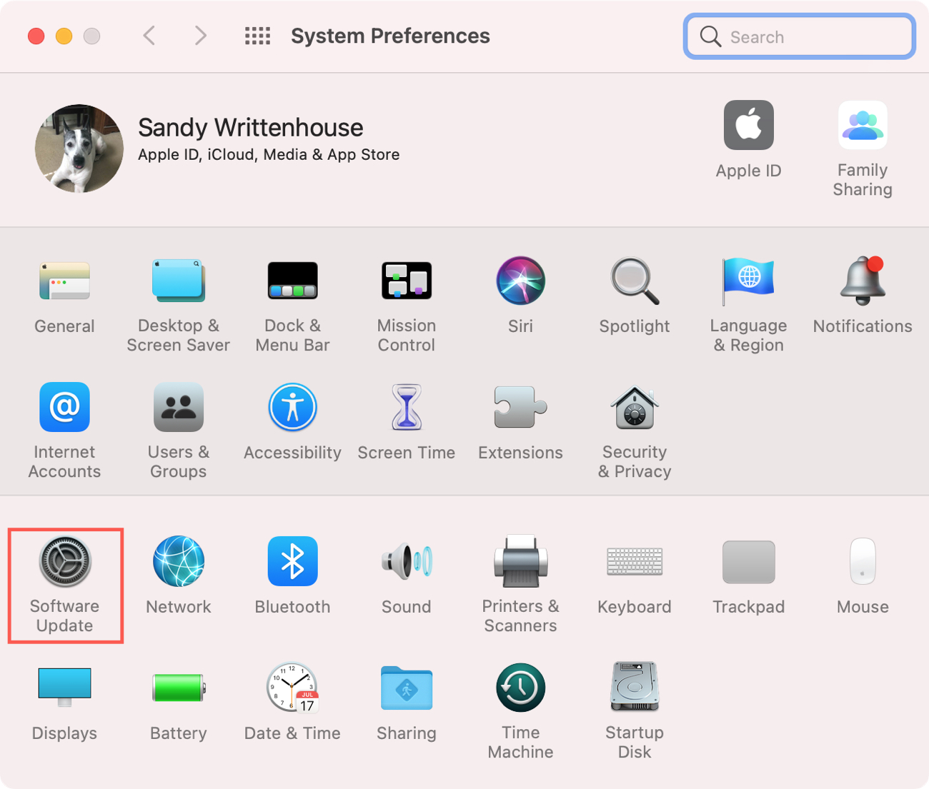 System Preferences Software Update on Mac Big Sur