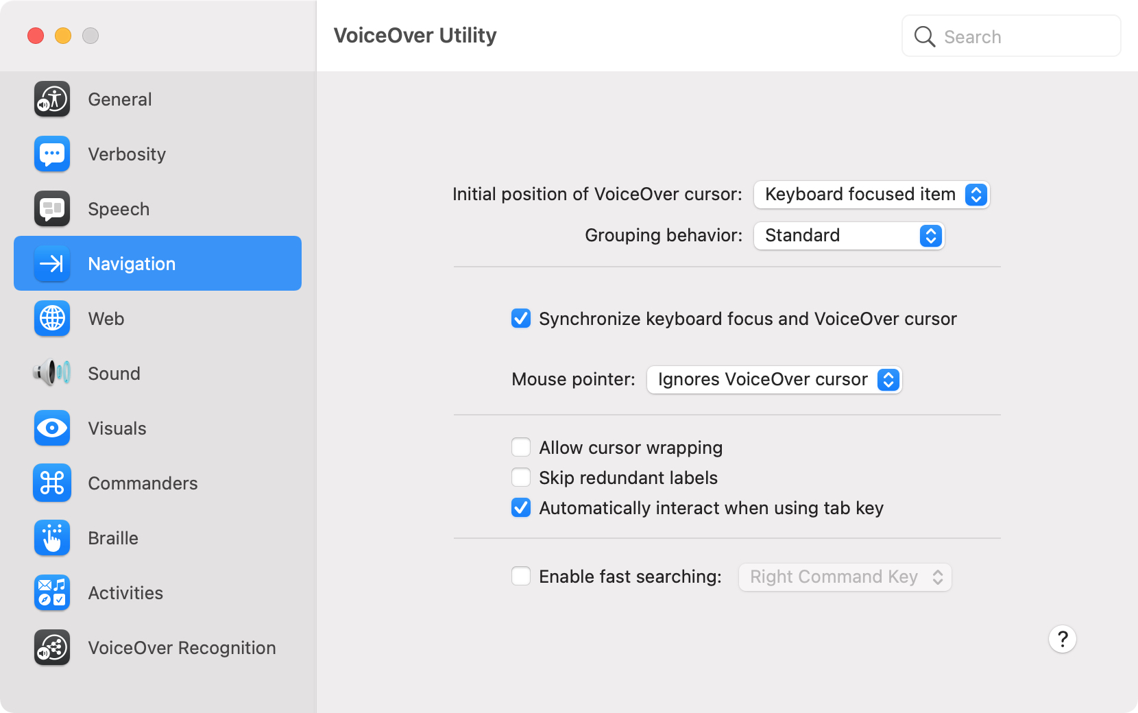 VoiceOver Utility Navigation