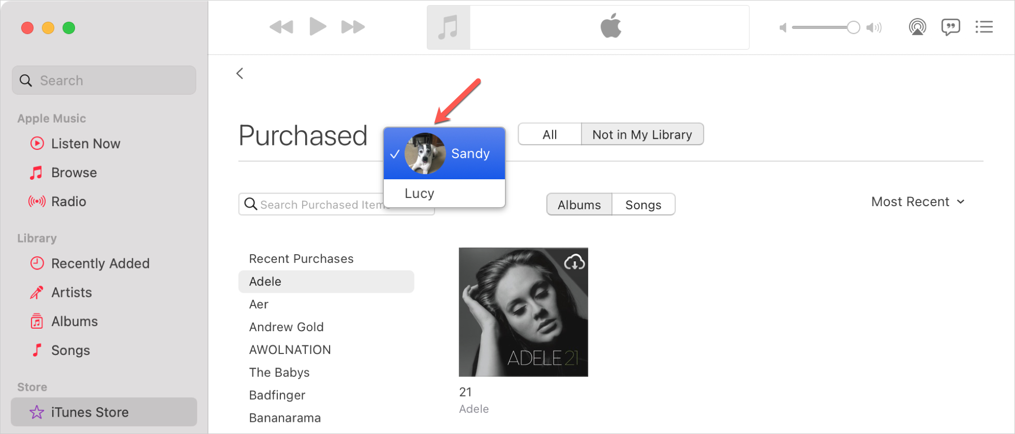 Purchases in Music on Mac