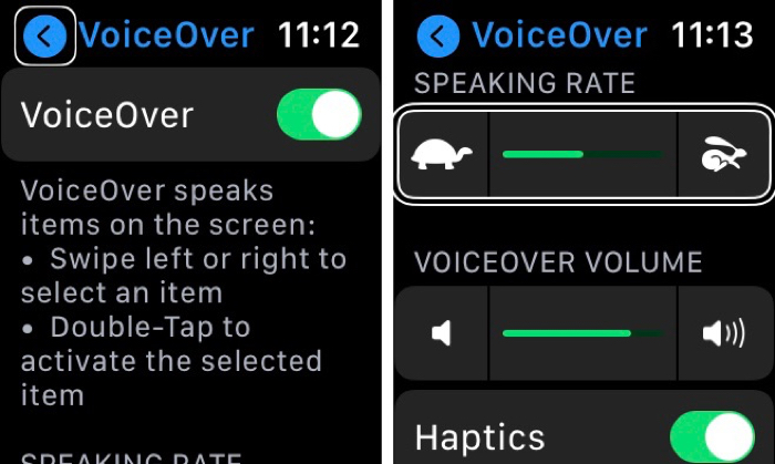 Apple Watch Accessibility VoiceOver On