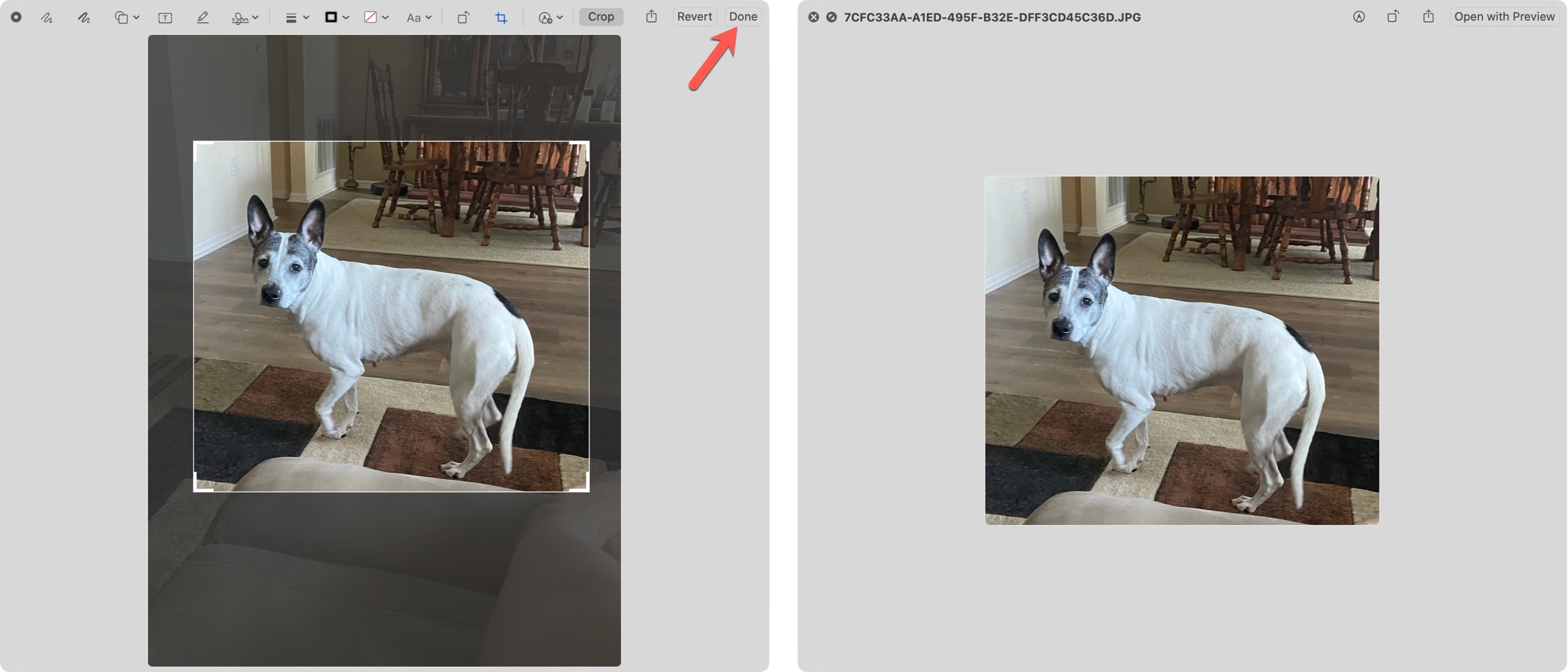 Cropped Image in Quick Look on Mac