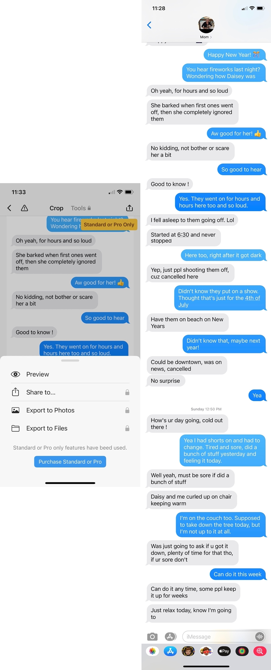 How To Screenshot An Entire Text Conversation On Iphone