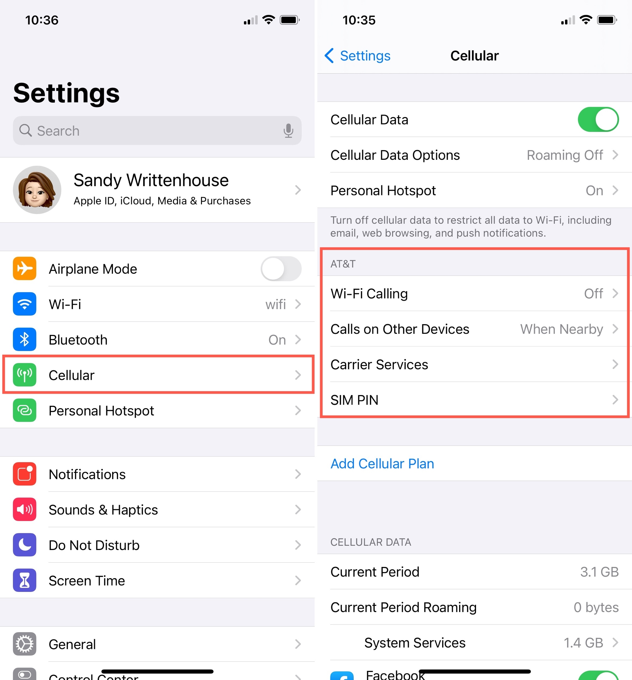 Settings Cellular Company on iPhone