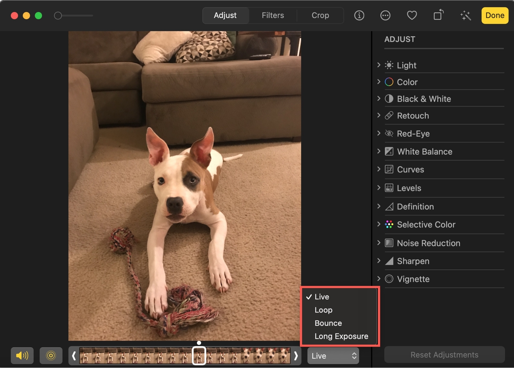 Add Effect to Live Photo on Mac