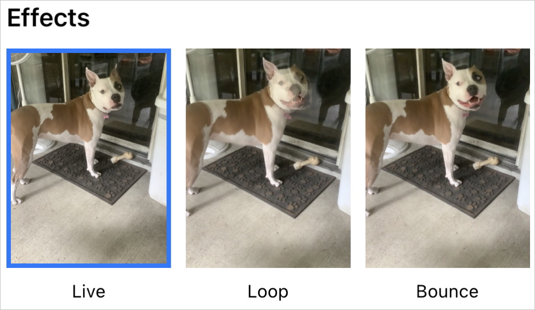 How to add loop and bounce effects to Live Photos
