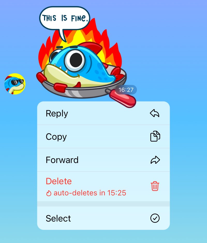 Een afbeelding met een nieuwe wereldwijde optie voor automatisch verwijderen in de Telegram-app voor iPhone