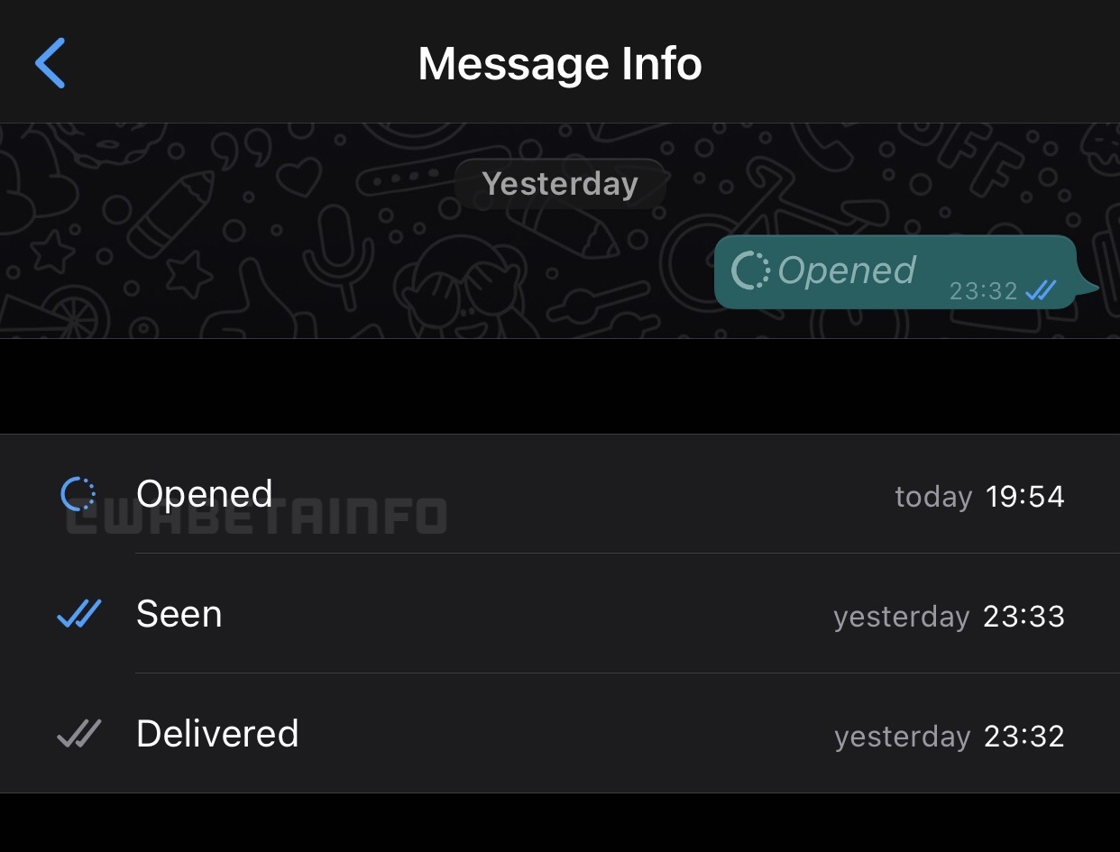 A screenshot showing the "Opened" status of a WhatsApp view-once message on iPhone