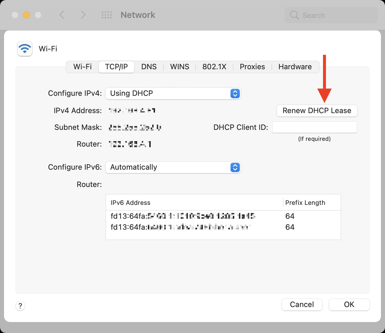 Renew DHCP Lease in Wi-Fi Settings on Mac