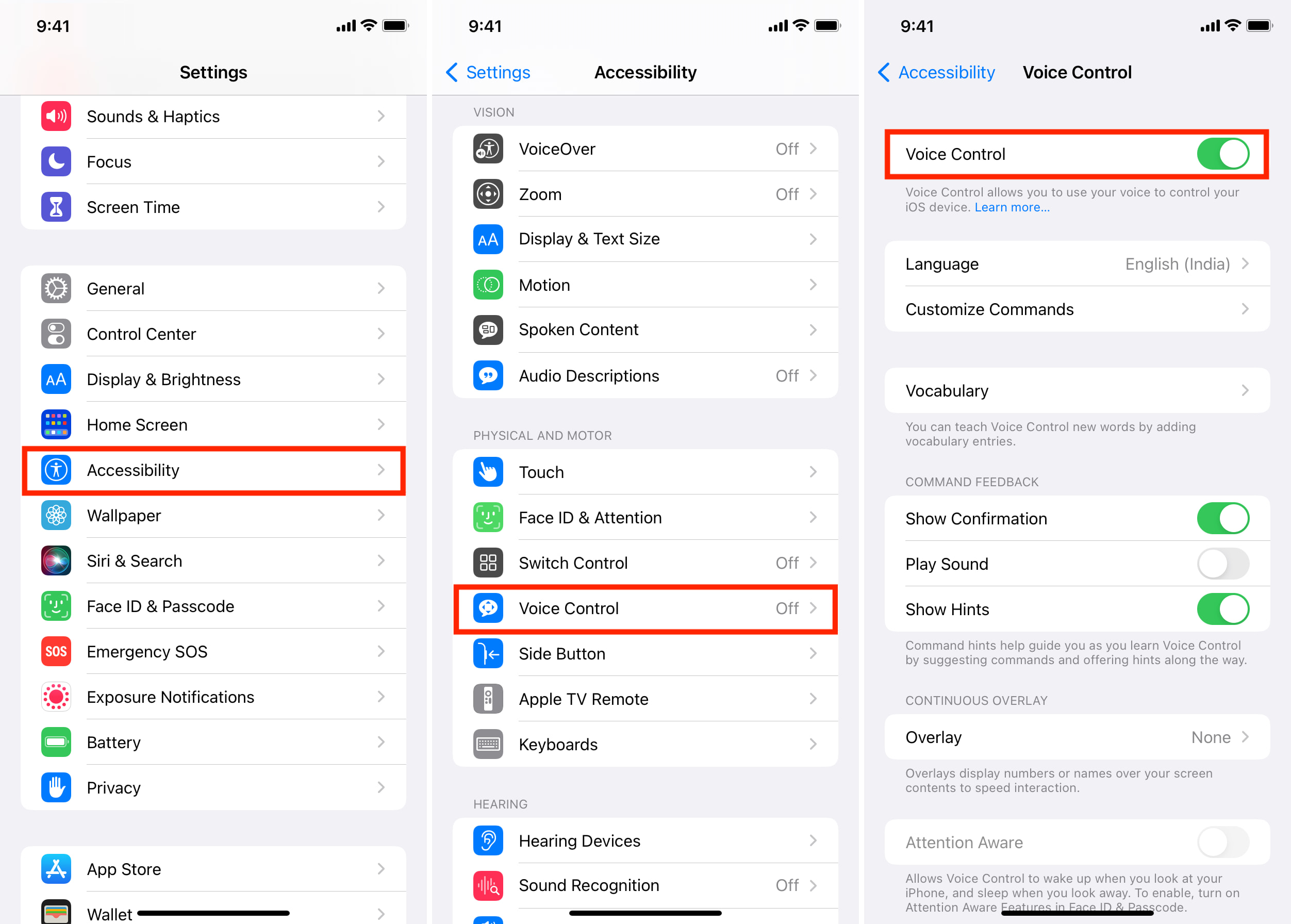Enable Voice Control from iPhone Accessibility Settings