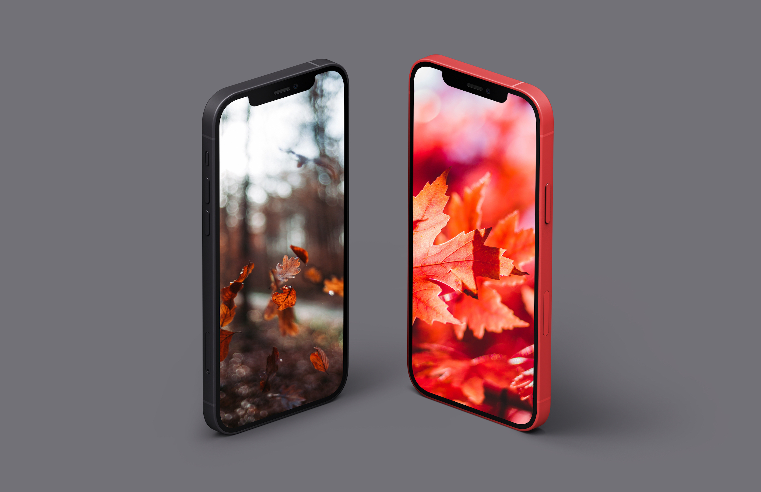 Colorful autumn iPhone wallpapers pack