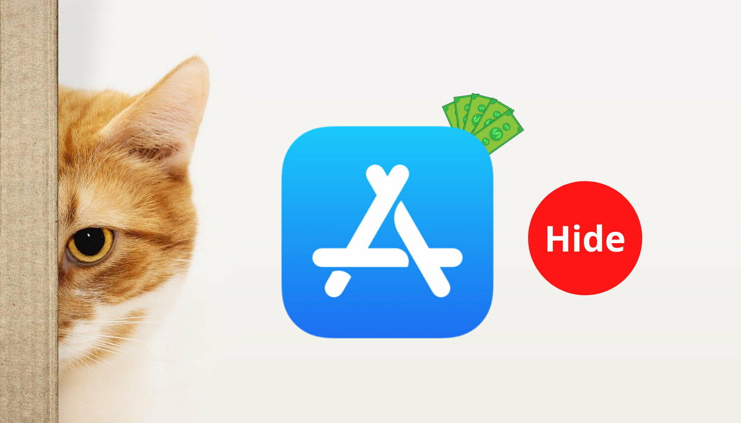 App Store icon and a red dot with word "Hide" and a cat hiding behind a cardboard