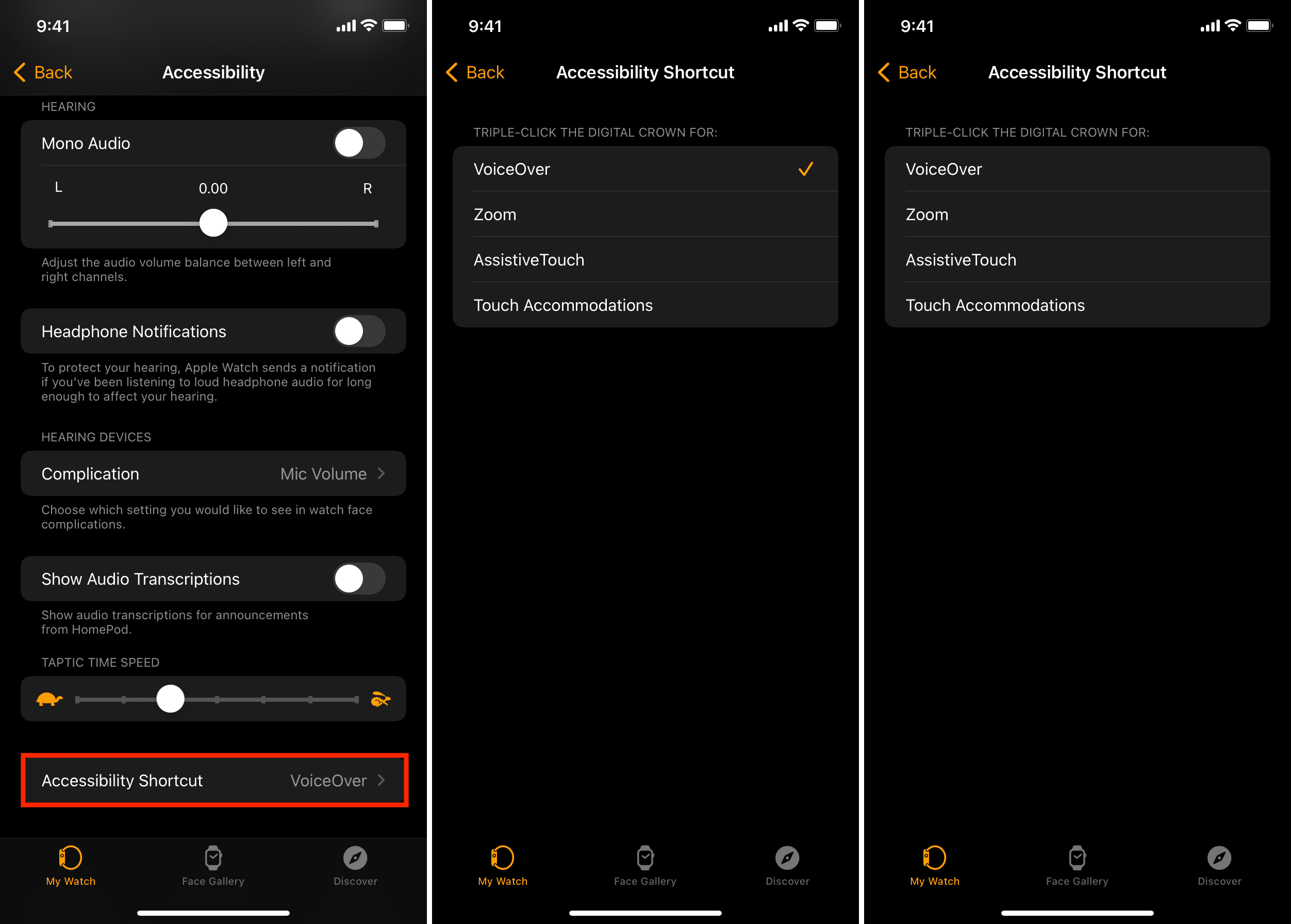 Accessibility Shortcut on Apple Watch