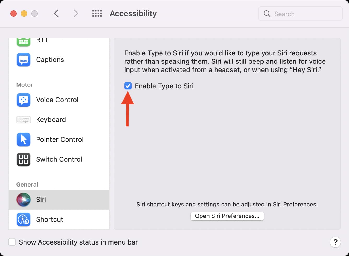 Enable Type to Siri on Mac