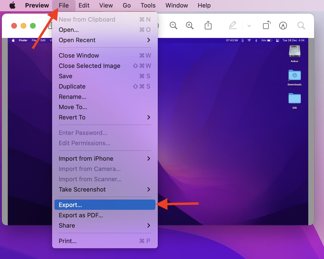 File Export in Preview on Mac